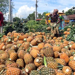 Waduh, Lagi-lagi Kabar Buruk soal Startup Belanja Sayur Buah