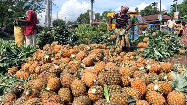 Waduh, Lagi-lagi Kabar Buruk soal Startup Belanja Sayur Buah Waduh, Lagi-lagi Kabar Buruk soal Startup Belanja Sayur Buah
