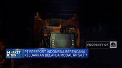 Freeport Setor Dividen Rp 14 T Hingga Rights Issue BTN