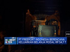Freeport Setor Dividen Rp 14 T Hingga Rights Issue BTN