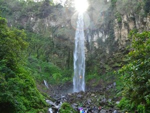 Viral 2 Pria Berburu Ikan di Puncak Grojogan Sewu Tawangmangu
