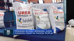 Dari Minyak Goreng Sampai PMK, Ini Ujian Sektor Pangan RI