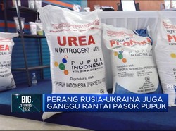 Dari Minyak Goreng Sampai PMK, Ini Ujian Sektor Pangan RI