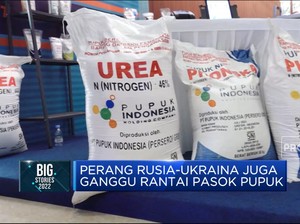 Dari Minyak Goreng Sampai PMK, Ini Ujian Sektor Pangan RI