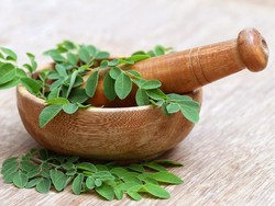 Simak! Ini Sederet Manfaat Daun Kelor untuk Kesehatan Simak! Ini Sederet Manfaat Daun Kelor untuk Kesehatan