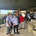 Parah! Ini Dia 5 Jenis Komposisi Sampah di Indonesia