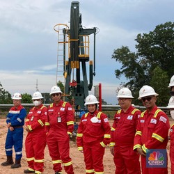 Jadi Tulang Punggung RI, Ini Dia Sumur Migas Andalan Pertamina