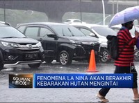 Video: Waspada! La Nina Usai, Kebakaran Hutan Mengintai
