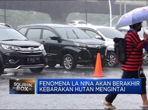  Waspada! La Nina Usai, Kebakaran Hutan Mengintai