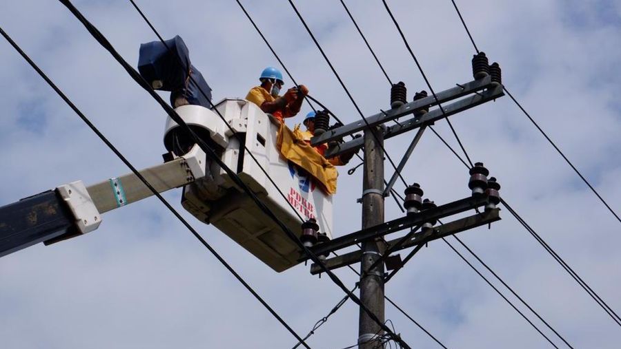 Petugas PLN Tengah Mengecek Jaringan Listrik