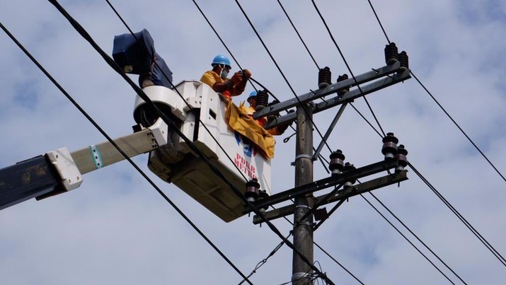 Petugas PLN Tengah Mengecek Jaringan Listrik