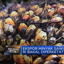 Masih Adakah Cuan Dari Sektor CPO?