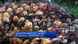 Video: Awal Tahun, Pemerintah Perketat Aturan Ekspor CPO