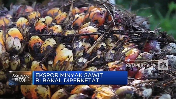 Awal Tahun, Pemerintah Perketat Aturan Ekspor CPO Awal Tahun, Pemerintah Perketat Aturan Ekspor CPO