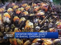 Masih Adakah Cuan Dari Sektor CPO?