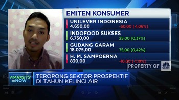 Video: Intip Deretan Sektor Prospektif di Tahun Kelinci Air