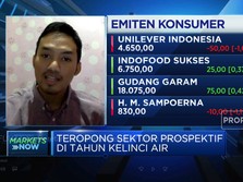 Video: Intip Deretan Sektor Prospektif di Tahun Kelinci Air
