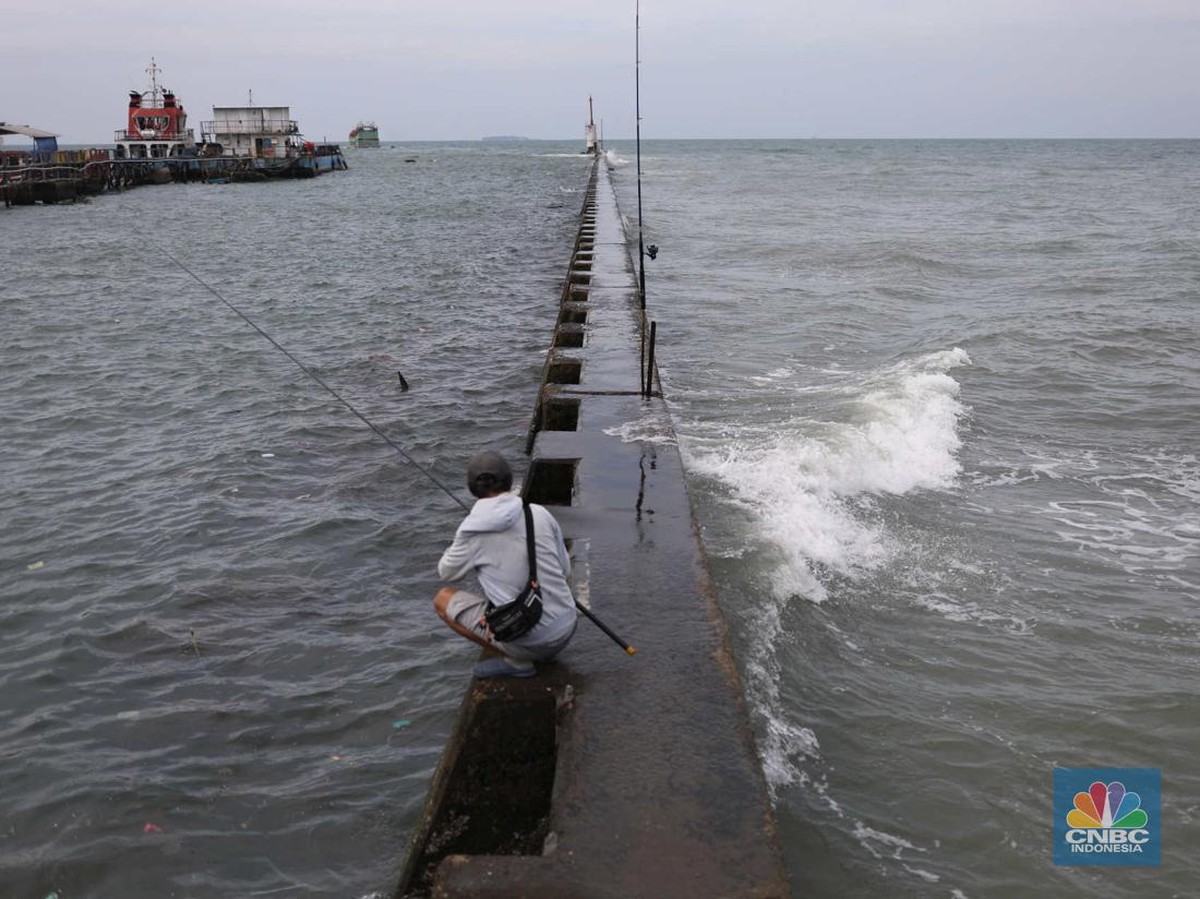 Mengungkap Rahasia Garis Wallace: Perbedaan Spesies Antara Indonesia dan Australia