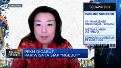Agen Travel Pusing, Krisis Kursi Pesawat Hambat Bisnis Wisata