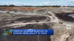 Pesta 'Durian Runtuh' RI Masih Berlanjut Di 2023