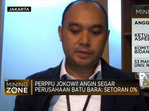 Harga Batu Bara Tinggi, Penambang 