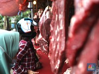 Gizi Ramadan Warga RI Aman, Impor Dagang Sapi Melimpah