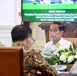 Jokowi Mau Bangun 'Jalan Tol' Pelayanan Publik, Apa Itu?