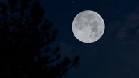 Purnama Sturgeon Moon Nanti Malam, Jam, dan Penjelasannya