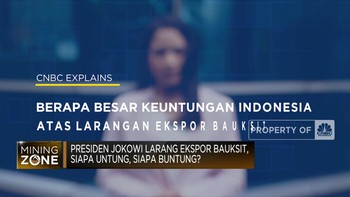 Jokowi Larang Ekspor Bauksit, Siapa Untung, Siapa Buntung?