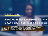 Jokowi Larang Ekspor Bauksit, Siapa Untung, Siapa Buntung?
