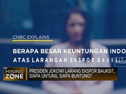 Jokowi Larang Ekspor Bauksit, Siapa Untung, Siapa Buntung?