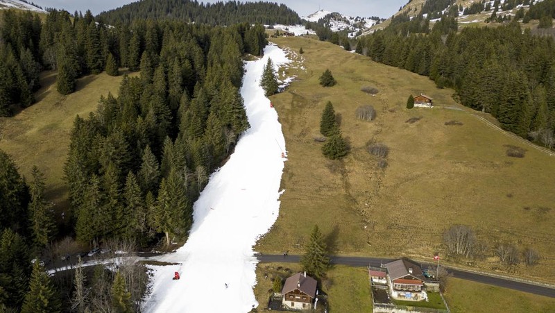 Skiers speed down a ski slope with artificial snow in the middle of a snowless field, at 1600 meters above sea level, in the alpine resort of Villars-sur-Ollon, Switzerland, Saturday, Dec. 31, 2022. Sparse snowfall and unseasonably warm weather in much of Europe is allowing green grass to blanket many mountaintops across the region where snow might normally be. It has caused headaches for ski slope operators and aficionados of Alpine white this time of year. (Laurent Gillieron/Keystone via AP)