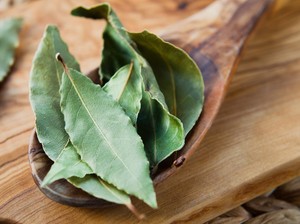 20 Manfaat Daun Salam, Herbal yang Mengandung Antioksidan