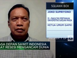 Ekonomi "Gelap" 2023, CPO Masih Jadi Ekspor Andalan RI?