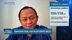 Penerimaan Pajak Kripto 2022 Kecil, Tarif Perlu Dinaikkan?