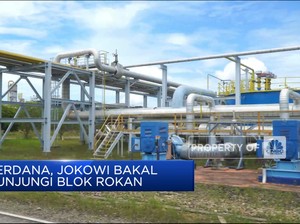 Video: Perdana! Jokowi Akan Kunjungi Blok Rokan