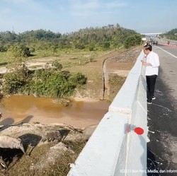 Jokowi Tinjau Tol Unik Ini, Ada Terowongan Gajahnya!