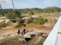 Jokowi Tinjau Tol Unik Ini, Ada Terowongan Gajahnya!