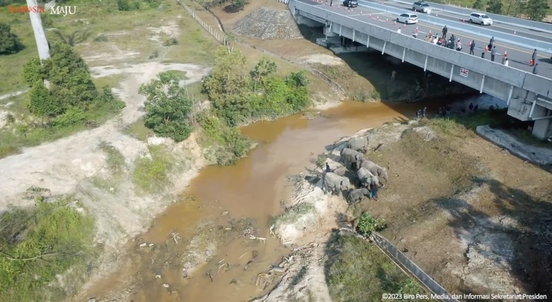 Presiden Joko Widodo (Jokowi) setelah meninjau perlintasan gajah di KM 12 ruas tol Pekanbaru-Dumai, pada Kamis, 5 Januari 2023.  (Foto: BPMI Setpres/Laily Rachev)