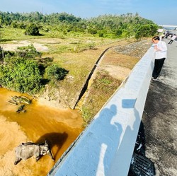 5 Proyek Jalan Tol Ini Terpental dari Daftar PSN Jokowi