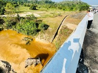 5 Proyek Jalan Tol Ini Terpental dari Daftar PSN Jokowi