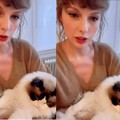 Kucing Taylor Swift Punya Kekayaan Rp1,5 Triliun, Kok Bisa?