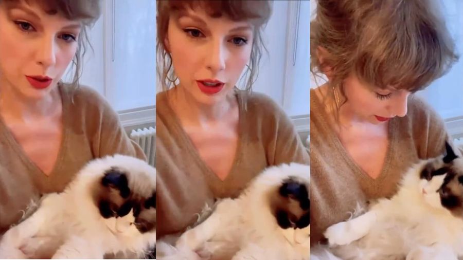 Begini Tylor Swift Dengan Kucing Kesayangannya. (Instagram @taylorswift)