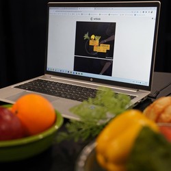 Cara Screenshot di Laptop Windows dan Apple dengan Mudah