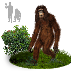 Cerita Bule Bertemu Makhluk Misterius di Sumatra, Apa Itu?