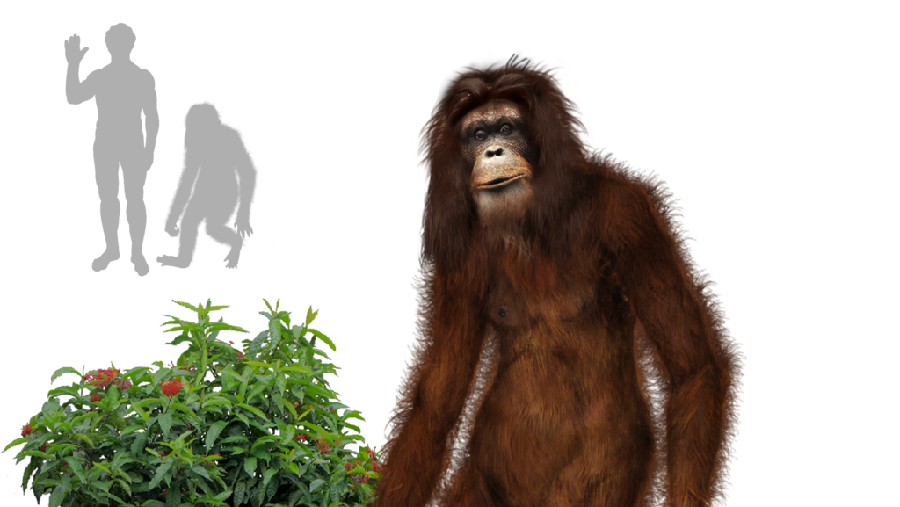 Ilustrasi Orang Pendek