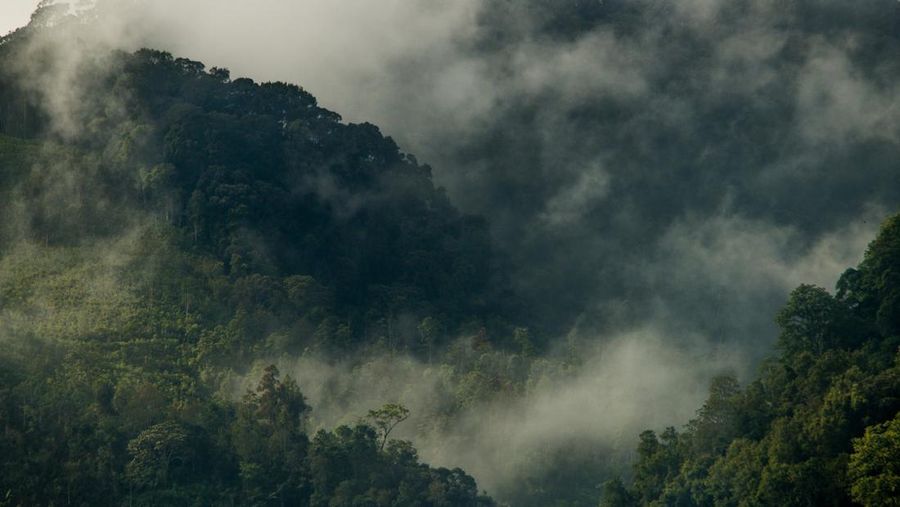 Lembah Kerinci