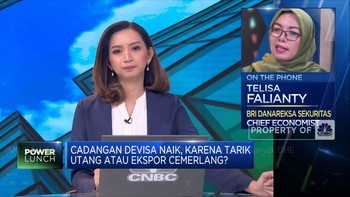 Perluas Sumber Cadev 2023, BI Bisa Gaet Lebih Banyak DHE?
