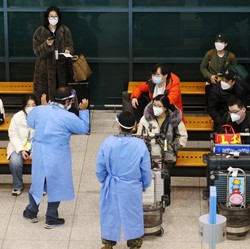 Puluhan Virus Baru Muncul Lagi di China, Berpotensi Menular ke Manusia