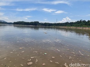 Pakar Soroti DAS Citarum Terkontaminasi Paracetamol dan Amoxilin